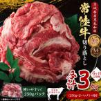 常陸牛切り落とし500g 250g×2