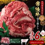 常陸牛切り落とし500g 250g×2