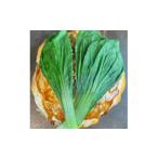 fu.... налог Hiroshima камуфляж ( название .) жарение ( udon ) 1 листов префектура Hiroshima город Hiroshima 