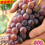 デラウェア ご 約600g