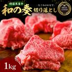 農林水産大臣賞受賞 特選 天童牛 和の奏 切り落とし 1kg
