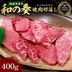 農林水産大臣賞受賞 特選 天童牛 和の奏 サーロインステー…