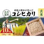 コシヒカリ10kg 玄米 お米 コメ こめ 令和7年産 10kg