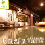 天童温泉 共通 利用券 チケット 温泉