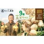 fu.... налог [2026 год отправка ] смех лицо . смех лицо . произведение .. Chan сельское хозяйство место. новый шар лук порей * шар смех Chan ~ 9 шт H095-029 префектура Аичи . юг город 