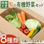 野菜セット コトコトファーム 旬の有機栽培野菜セット