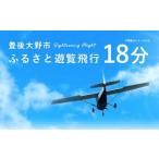 059-263x1 ふるさと遊覧飛行 18分