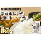 七谷産 棚田米コシヒカリ 精米5kg