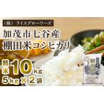 七谷産 棚田米コシヒカリ 精米10kg