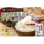 コシヒカリ 精米5kg