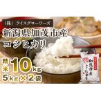 コシヒカリ 精米10kg