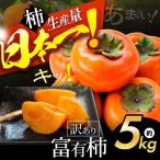 訳あり 富有柿 約 5kg