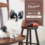 ペットスタジオPhopet 撮影プランA