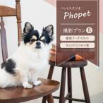 ペットスタジオPhopet 撮影プランB
