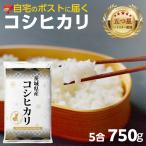 最短翌日出荷 コシヒカリ 750g