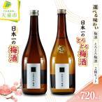 日本一の梅酒 セット 720ml