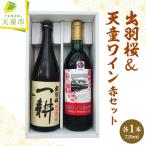 出羽桜 天童ワイン 赤 セット 日本酒 ワイン