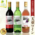 天童ワイン ふるさと 応援 セット 山形 ワイン