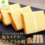 塩カステラ てんどう小町 18個入り