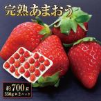 完熟 あまおう イチゴ 350g×2パック
