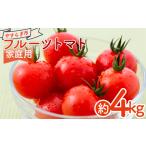 フルーツトマト 4kg