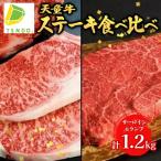 天童牛 ステーキ 食べ比べ 満足 セット ブランド牛