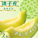 アムスメロン 2玉