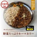 ”サッチェズカリー” 完全無添加 野菜 キーマカリー