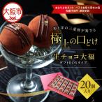 生チョコ大福20個入~ ボックスタイプ~