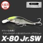 X-80 JR.SW カラー CH ヒラスズキ