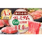 最高級A5等級 産黒毛和牛 柿安牛 プレミアム定期便