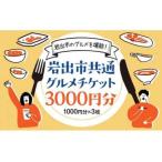 共通 チケット3000円分 1000円分×3枚