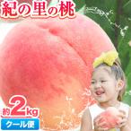 桃 紀の里の桃 約2kg