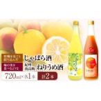 梅酒 紀州完熟南高梅 ねりうめ酒とじゃばら酒 各720ml