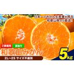 ふるさと納税 【先行予約】ご家庭用みかん 約5kg 和歌山県みかん 和歌山県岩出市