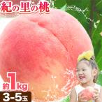 紀の里の桃 約1kg
