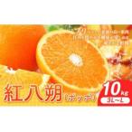 紅八朔 ポッポ 約10kg