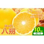 八朔 約10kg