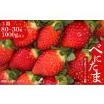 べにたま 埼玉生まれの希少いちご1 000g以上