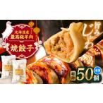 羊肉 焼き餃子 25個×2