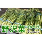 fu.... налог Shinshu Matsumoto город производство солености tsukemono для [ сырой. ...]5kgl..... налог Nagano префектура Matsumoto город ... овощи солености tsukemono Shinshu Shinshu достопримечательность ..... Nagano префектура Matsumoto город 