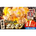 幻の五島牛ホルモン 1kg