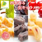 四季 香る 生キャラメル 5個入×10袋 フルーツ