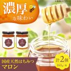 蜂蜜 能勢HONEY 160g×2本