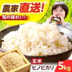 R7年度産 ヒノヒカリ 玄米 5キロ