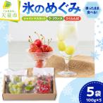 氷のめぐみ さくらんぼ シャインマスカット