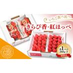 いちご食べ比べ きらぴ香 紅ほっぺ