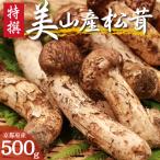 松茸 丹波産 天然