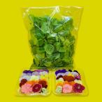 エディブルフラワーセット 食用花Aセット