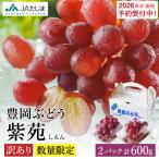 訳あり 豊岡ぶどう 紫苑 約300g×2パック